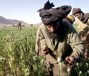 WB kêu gọi đổi mới ngành nông nghiệp để giảm nghèo