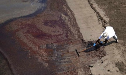 BP bị đồn phá sản do sự cố tràn dầu