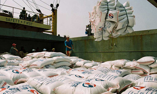 Xuất khẩu nông sản quý 1: Chỉ gạo mất giá