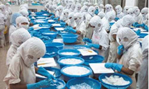 TS4 và TIG: Giải trình cổ phiếu tăng trần liên tiếp