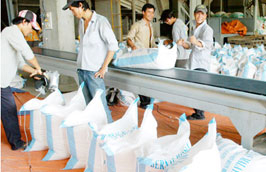 Xuất khẩu gạo năm 2011 sẽ giảm?