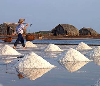 Nhập khẩu muối: 