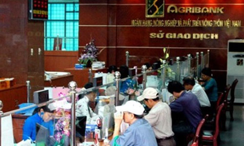 Viết lại “giấy chứng nhận sức khỏe” cho ngân hàng