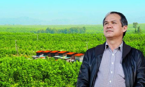 Hồi tố lỗ 750 tỷ, công ty nông nghiệp của ông Đoàn Nguyên Đức nói gì?