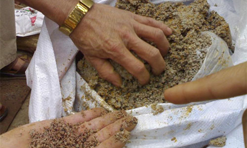 Tràn lan phân bón giả, khó quản