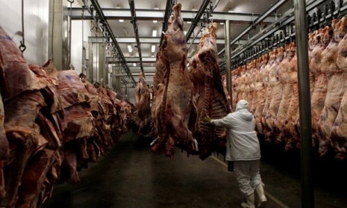 Châu Á “sốc” với bê bối thịt bẩn Brazil