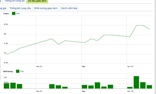 Năm 2012, CTS báo lãi 96 tỷ đồng trước thuế