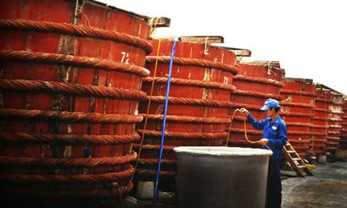 Năm hiệp hội kiến nghị Thủ tướng vụ “nước mắm nhiễm asen”