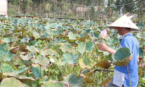 Luật hỗ trợ doanh nghiệp đã đến tay đại biểu Quốc hội