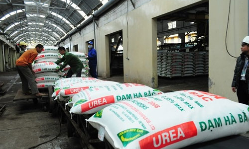 Vì sao hai doanh nghiệp phân đạm tỷ USD rơi vào cơn bĩ cực?