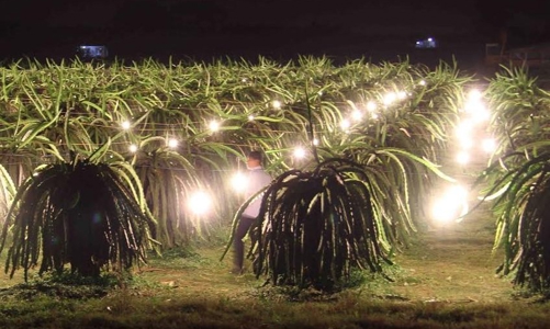 Doanh nghiệp “thay da đổi thịt” thu nghìn tỷ mỗi năm sau cổ phần hoá 