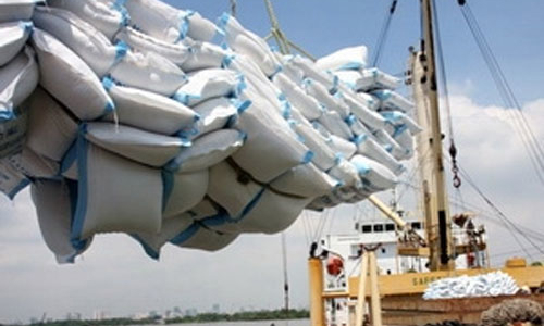 Nghịch lý hạt gạo Việt Nam