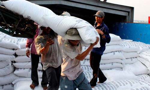 Gạo Việt Nam bị “chê” đắt