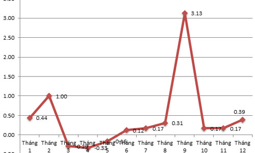 CPI năm 2013 tại Tp.HCM tăng thấp hơn cả nước