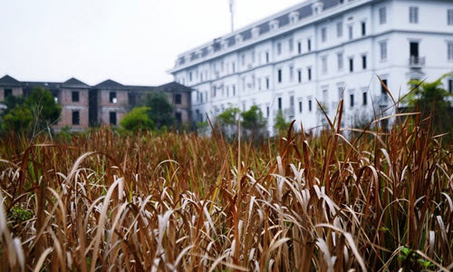 Sẽ rút phép dự án trường học chậm triển khai trong khu đô thị