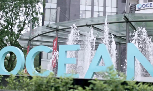 Lỗ luỹ kế gần 2.500 tỷ, cổ phiếu OGC chỉ được giao dịch phiên chiều