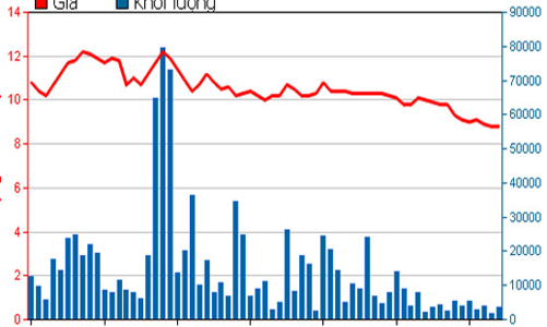 Nhiều doanh nghiệp trả cổ tức bằng tiền mặt