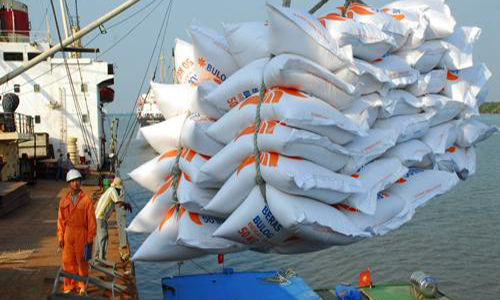 Thận trọng bỏ thầu 250.000 tấn gạo tại Philippines 