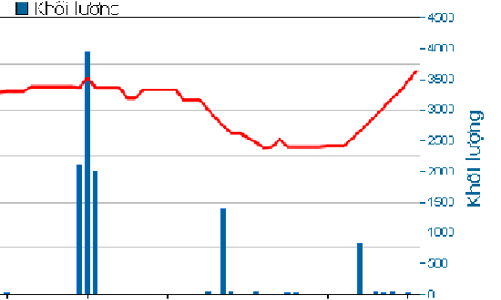 STG giải trình 3 nguyên nhân làm cổ phiếu tăng trần 5 phiên liên tiếp