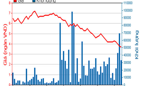 TTF miễn nhiệm một phó tổng giám đốc