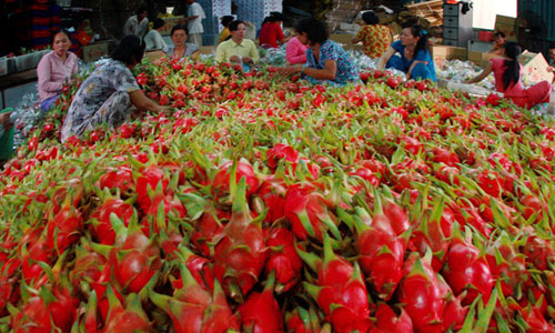 Xuất khẩu rau quả có thể đạt 1 tỷ USD năm nay