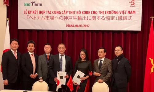 Thịt bò Kobe chính thức nhập khẩu về Việt Nam