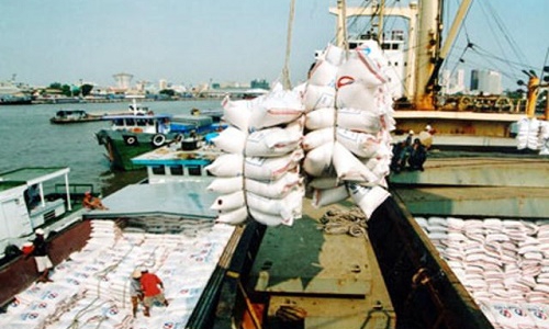 Xuất khẩu gạo: Nhiều rào cản khiến doanh nghiệp hoang mang