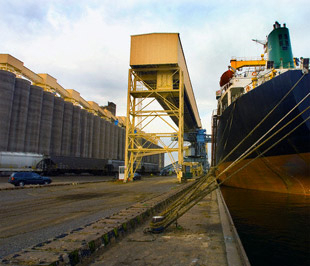 Xuất siêu 3 tháng đầu năm: Mừng ít, lo nhiều!