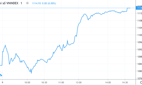 Mặc khối ngoại xả, nhà đầu tư nội 