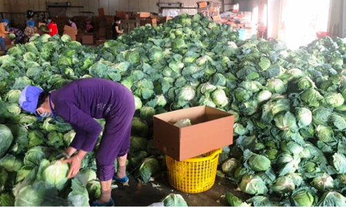 Chuỗi cung ứng nguy cơ bị đứt gãy do khó lưu thông hàng hóa vùng dịch