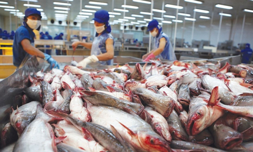 Xuất khẩu thuỷ sản dự kiến đạt 8,8 tỷ USD trong năm 2021