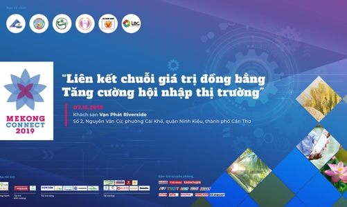 Mekong Connnect 2019: Liên kết chuỗi giá trị đồng bằng - Tăng cường hội nhập thị trường