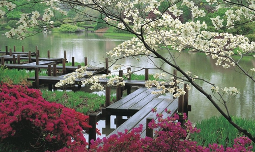 Xu hướng dự án sống chuẩn phong cách Nhật lên ngôi 