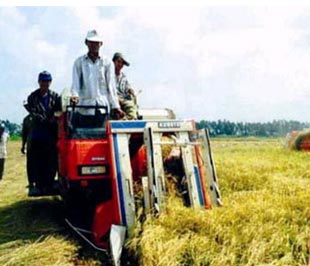 Kiến nghị tập trung kích cầu cho nông thôn