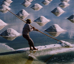 Muối lên cơn “sốt”!