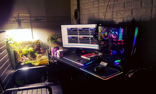 Vận động người tham gia sàn đầu tư tài chính đa cấp có thể bị phạt tới 5 năm tù