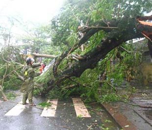 Miền Trung: 170.000 dân đã sơ tán tránh bão