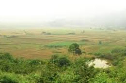 Bộ Xây dựng nêu giải pháp hạ 