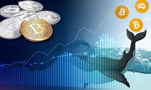 Các nhà đầu tư 