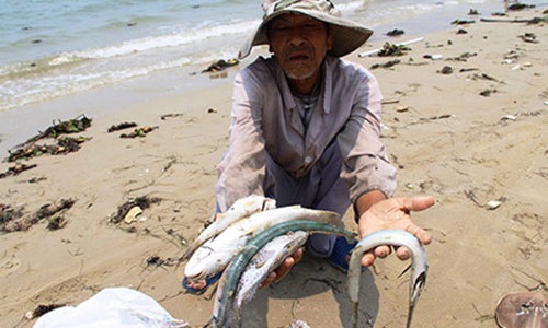 Trình Thủ tướng kế hoạch bồi thường hậu Formosa tuần tới