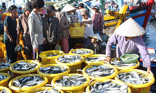 Cách chức hàng loạt cán bộ sau vụ cấp khống hồ sơ thủy sản