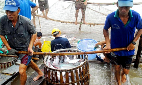 Tăng trưởng xuất khẩu thủy sản đứng đầu ngành nông nghiệp