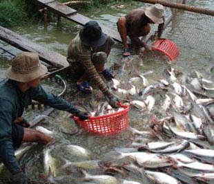 Khởi động lại thị trường Nga và nỗi lo từ bài học cũ