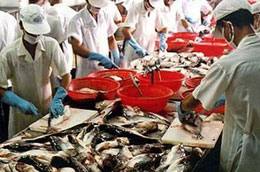 Xuất khẩu thủy sản sang Mỹ: Rắc rối từ tên gọi