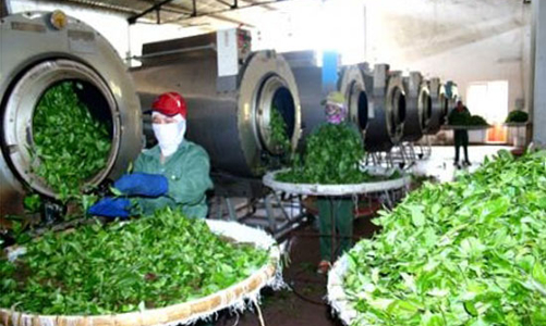 Đón cơ hội khi Myanmar chính thức mở cửa thị trường 