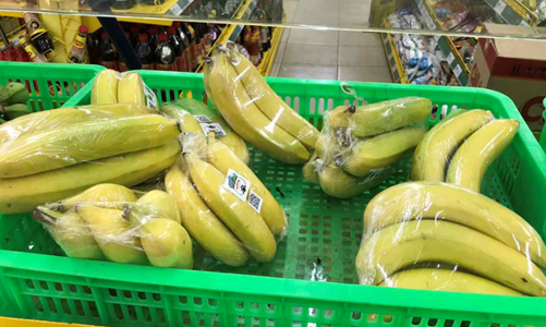 Kỳ vọng lớn vào chuối, HAGL dự kiến thu về 4.000 tỷ từ trái cây