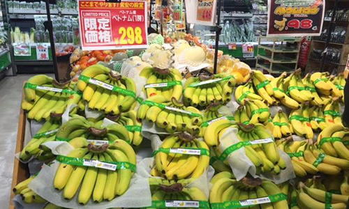 Chuối Việt vào Nhật: 