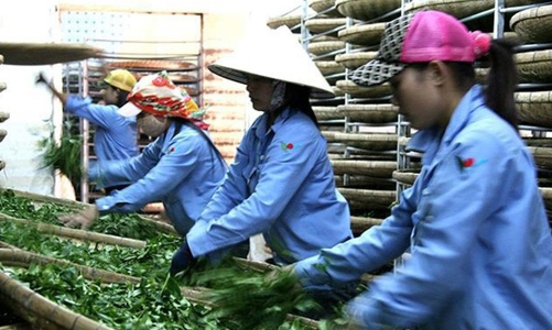 Bịt lỗ hổng chuyển giá của doanh nghiệp FDI khi đầu tư vào Việt Nam