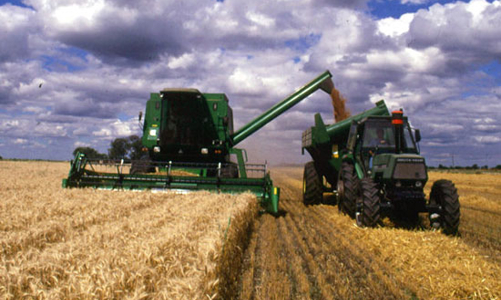 Giá lương thực thế giới tăng đáng báo động