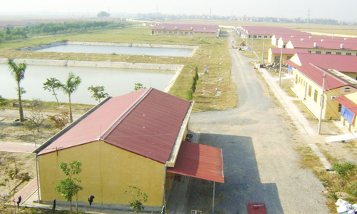 “Đại gia” chăn nuôi Dabaco liêu xiêu trong cơn khủng hoảng thịt lợn